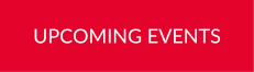 Hikvision Dealer Newsletter- Long Email Buttons (4)