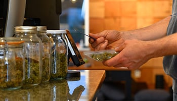 Cannabis Retail