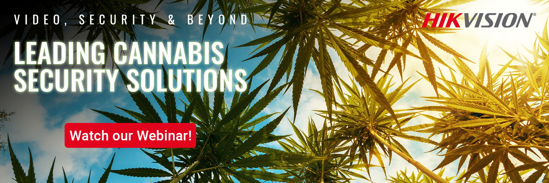 landing-page-Cannabis-Solution-banner-v1