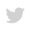 Twitter-icon-1
